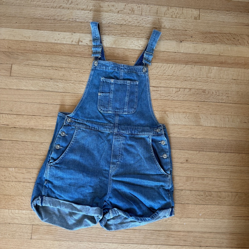 Free Peoples Denim Overalls
